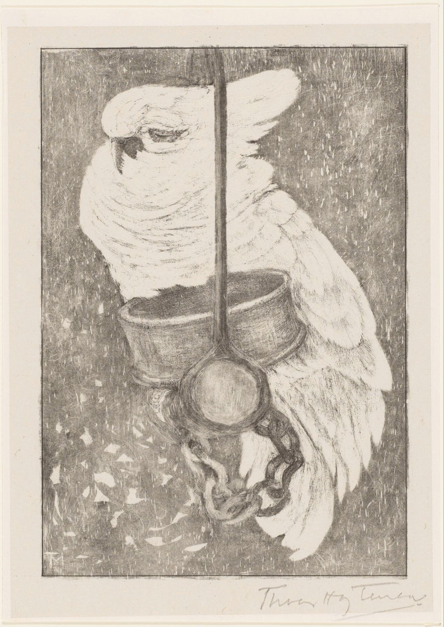 White Cockatoo by Theo van Hoytema (signed by artist)
