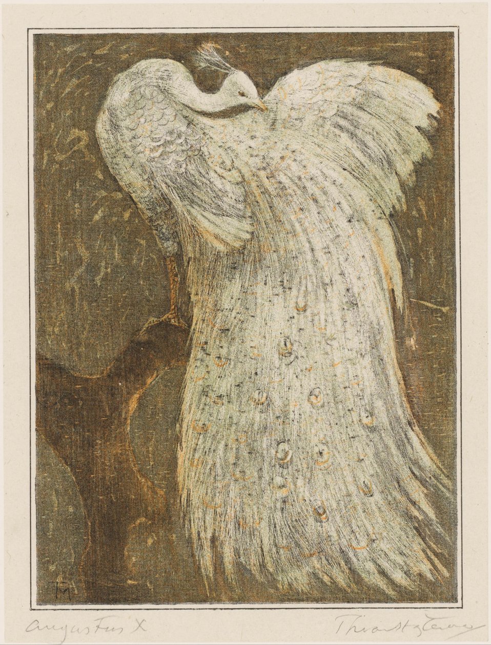 White Peacock on Branch by Theo van Hoytema (signed by artist)