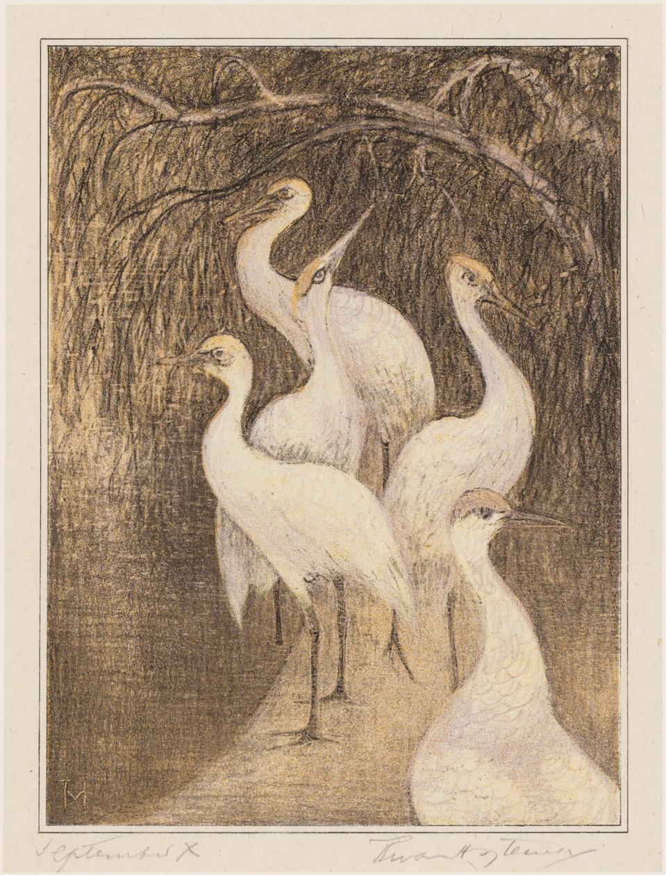 Six Cranes at the Water