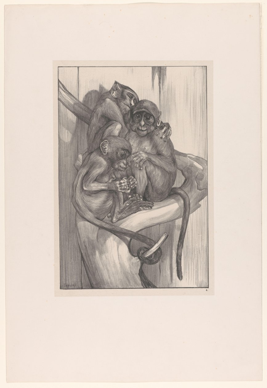 Three Monkeys on a Tree Stump (Animal Studies series) by Theo van Hoytema