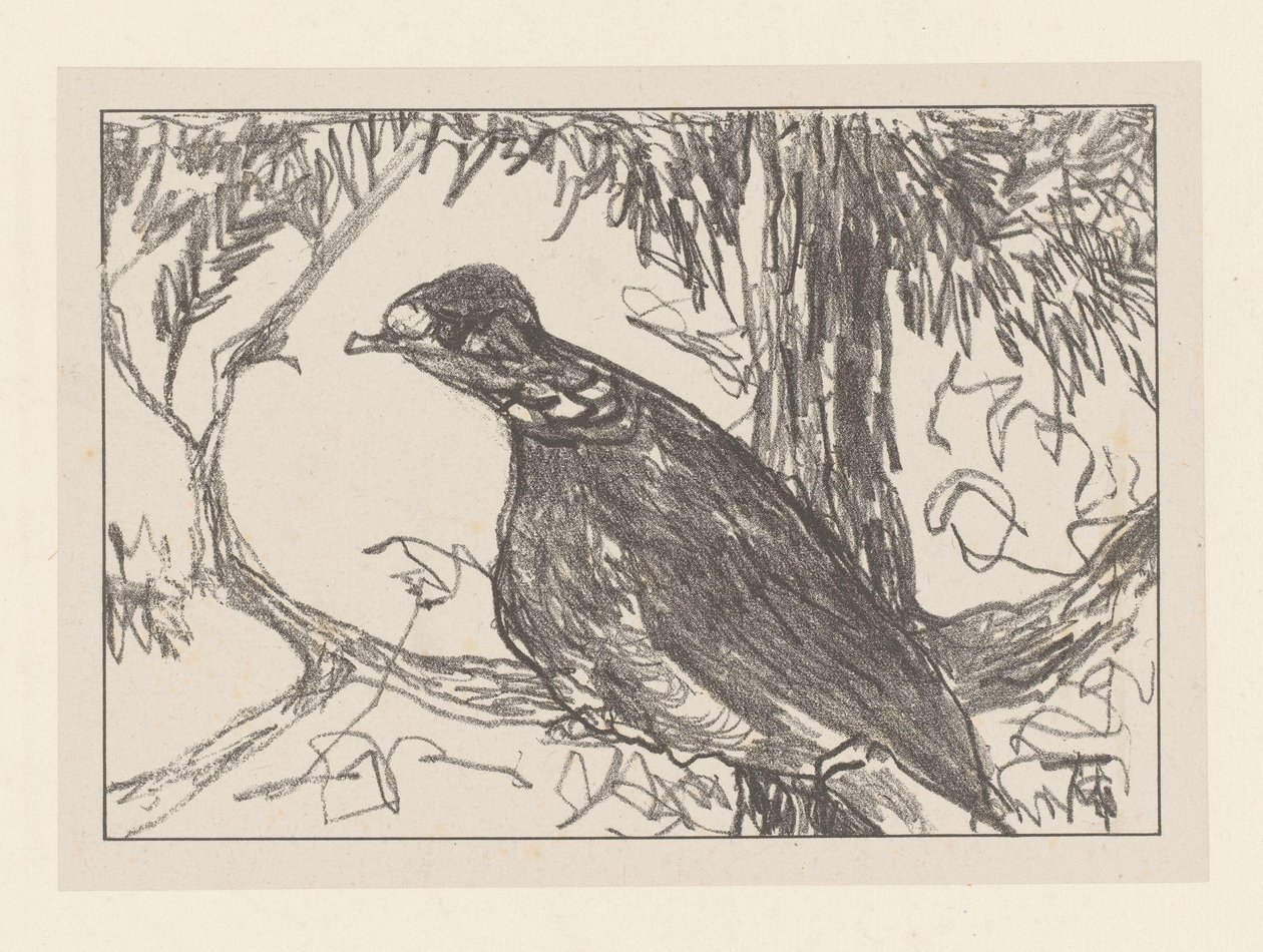 Wood pigeon in tree by Theo van Hoytema