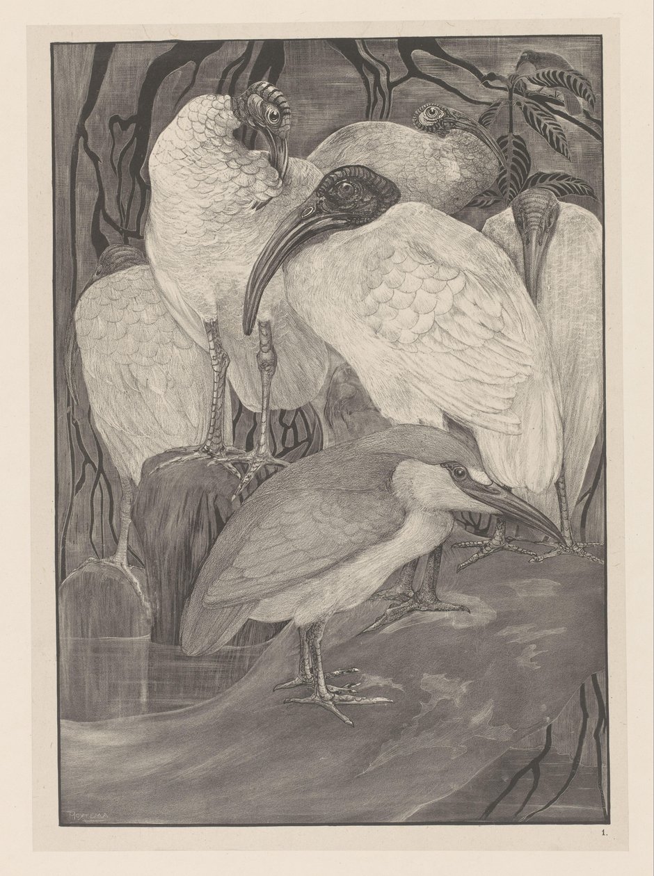 Five Ibises and a Night Heron by Theo van Hoytema