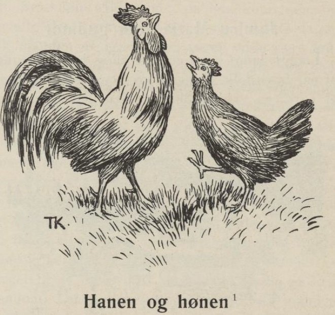 The Cock and Hen by Theodor Kittelsen