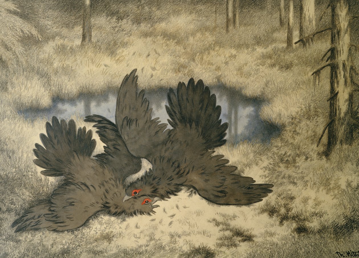 The Troll Bird Fight by Theodor Kittelsen