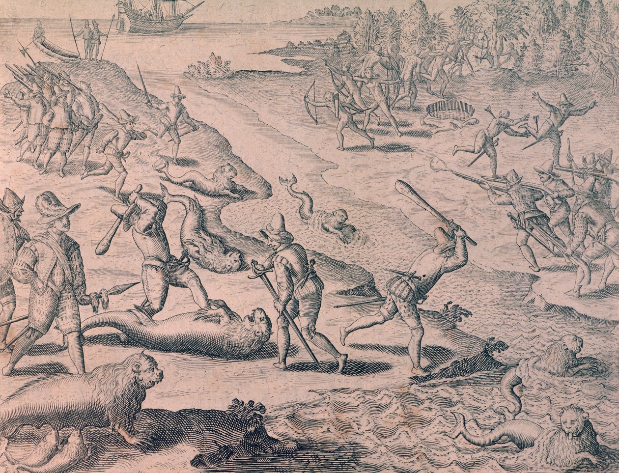 Slaughter of sea lions by explorers by Theodor de Bry