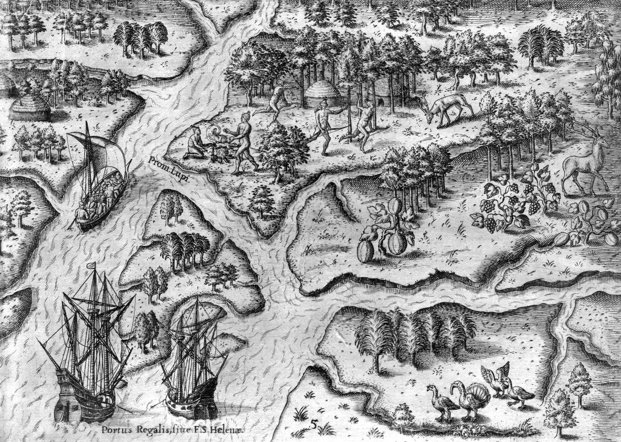 The French Expedition Lands in Port Royal, Florida by Theodor de Bry