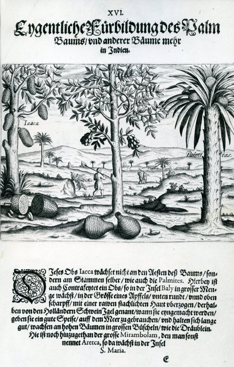 Landscape, Illustration from 
