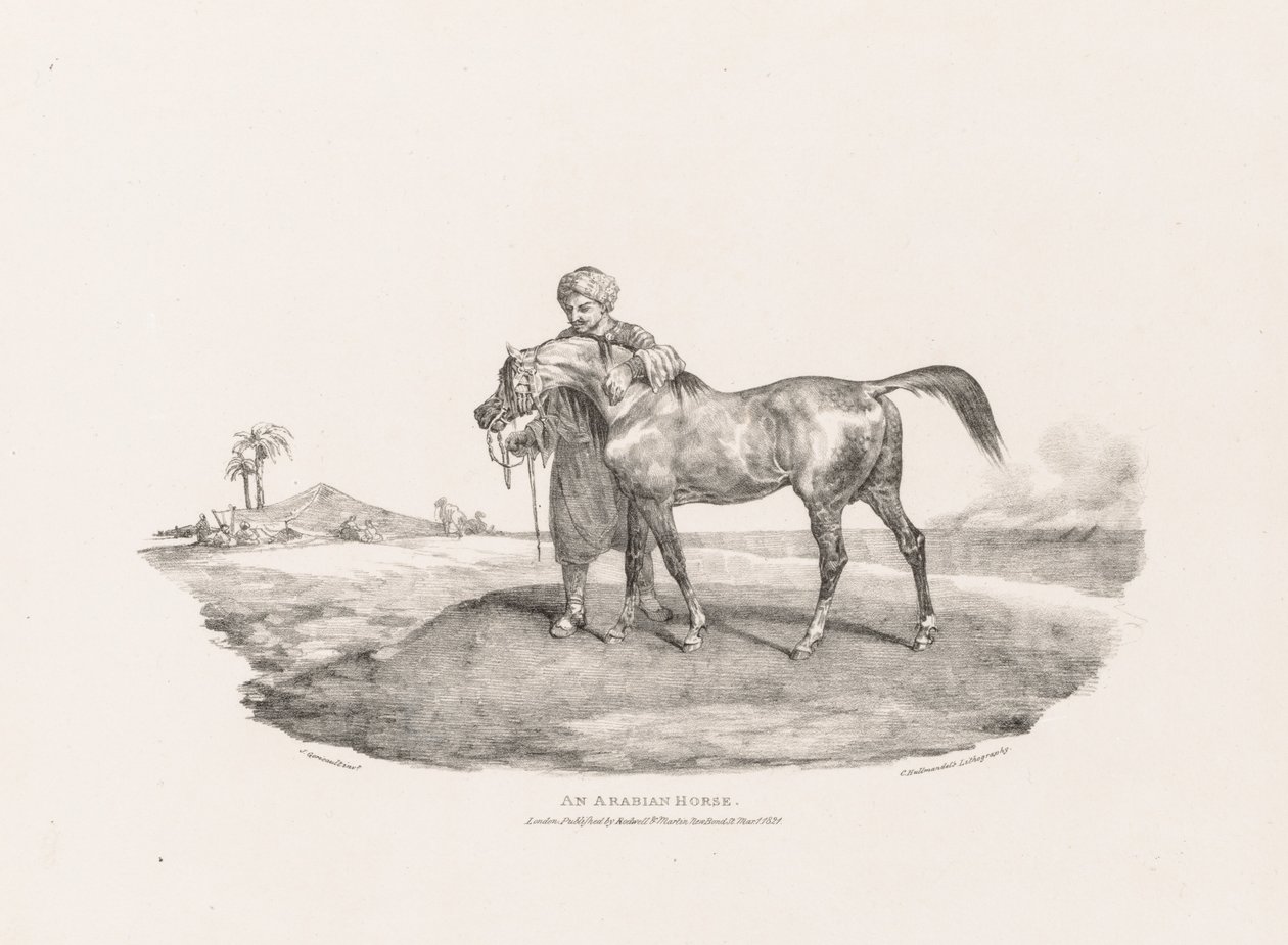 An Arabian Horse by Theodore Gericault