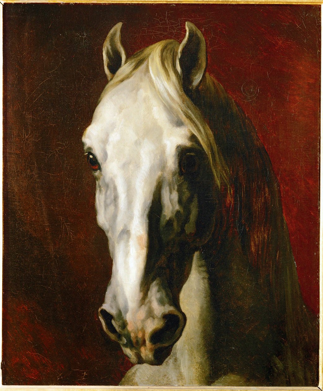 Head of a White Horse by Theodore Gericault