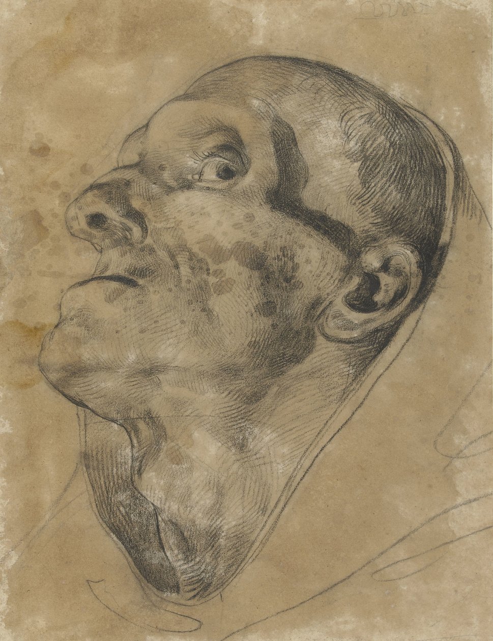 Head of an Upward Looking Man, with Downward Gaze by Theodore Gericault