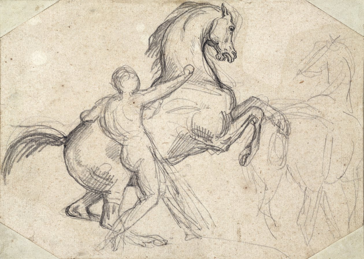 Rearing Stallion Held by a Nude Man by Theodore Gericault