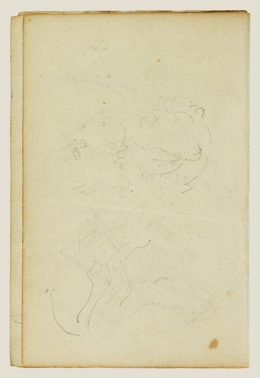 Sketches of Head and Hind Legs of a Lion by Theodore Gericault