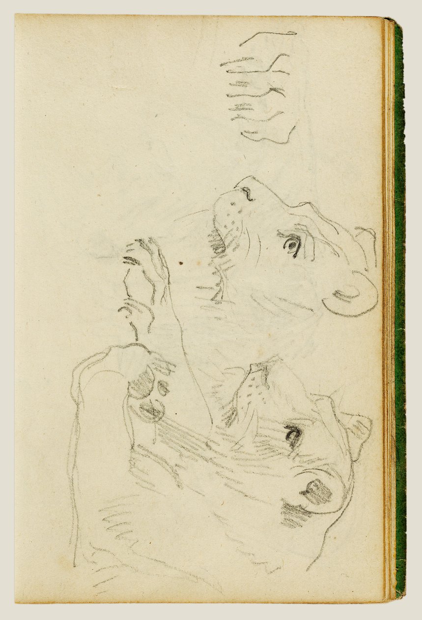 Studies of the Head and Forelegs of a Lioness by Theodore Gericault