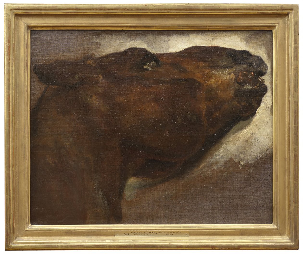 Study of a Dead Horse by Theodore Gericault