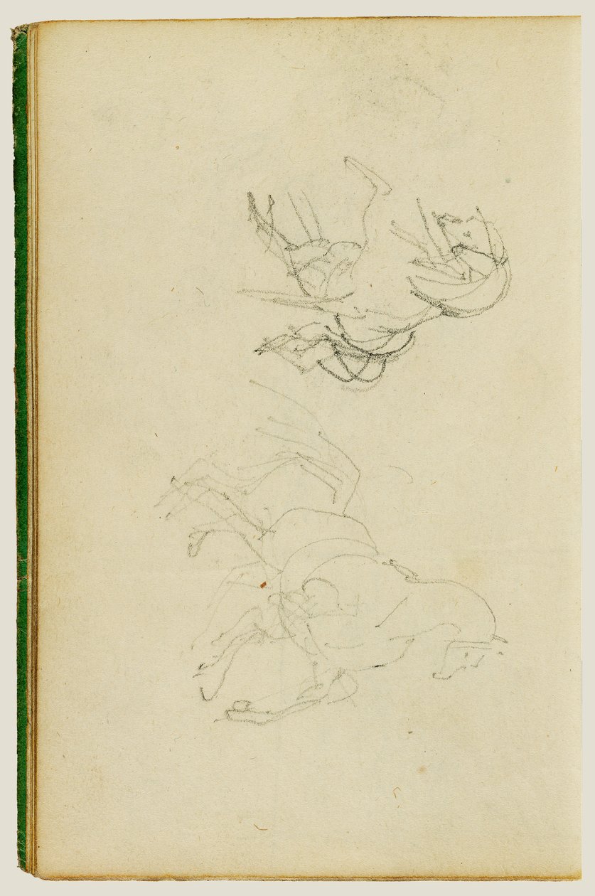 Two Studies of a Rearing Horse by Theodore Gericault