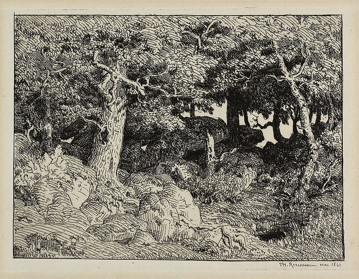Oak from Rocks by Theodore Rousseau