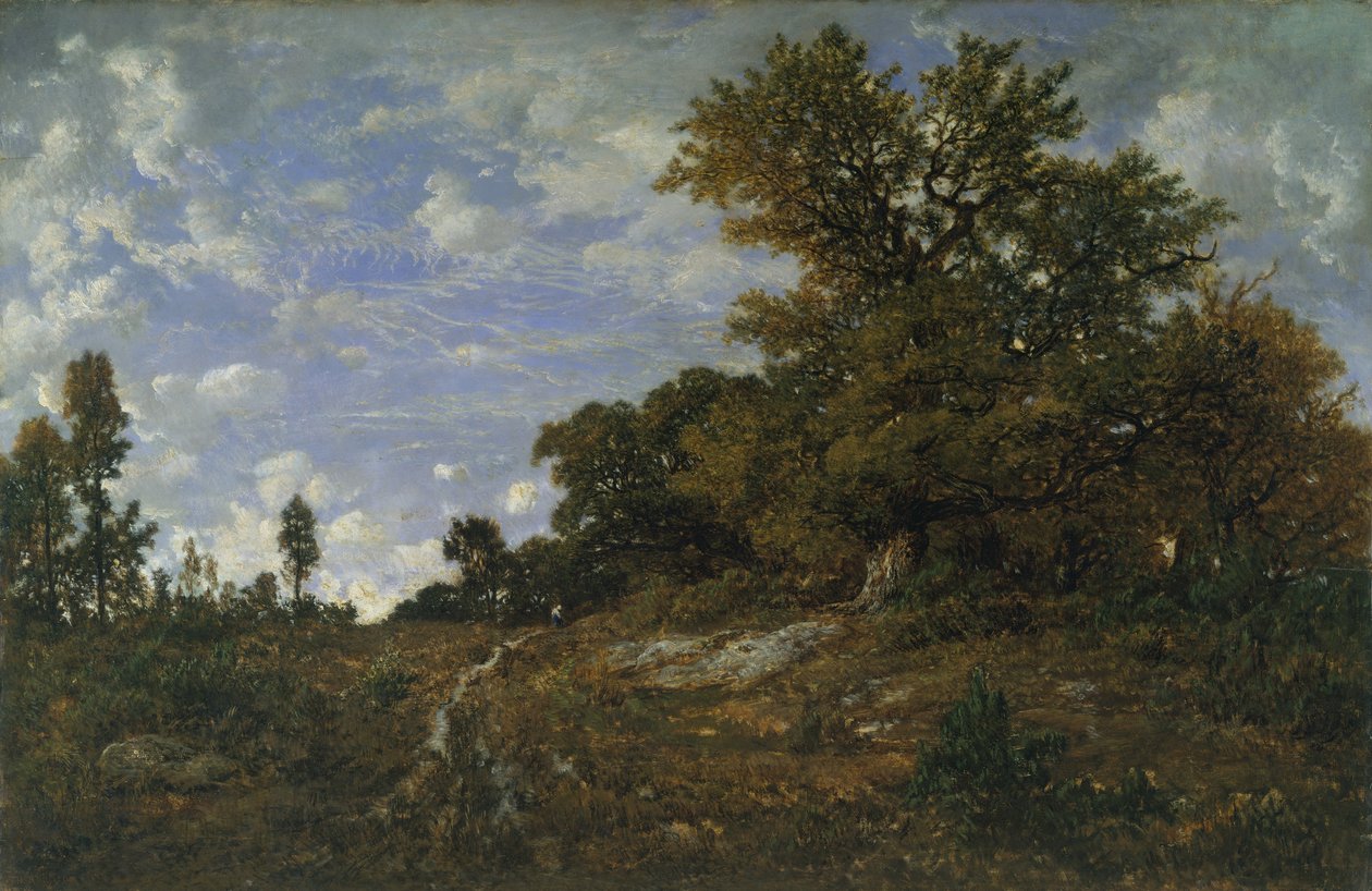 The Edge of the Woods at Monts-Girard, Fontainebleau Forest by Pierre Etienne Theodore Rousseau