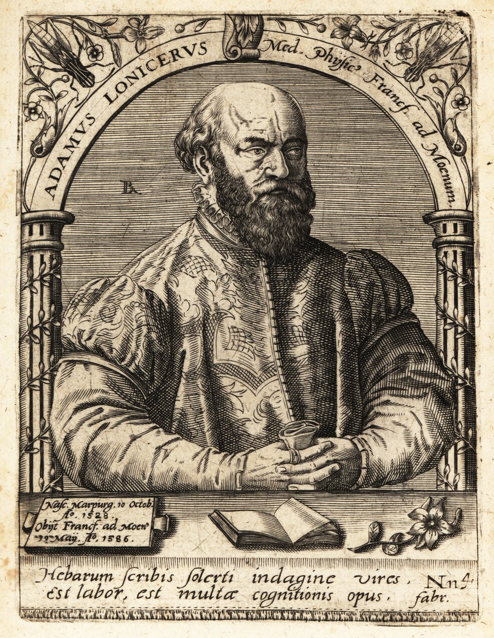 Adam Lonicer or Lonitzer by Theodore de Bry