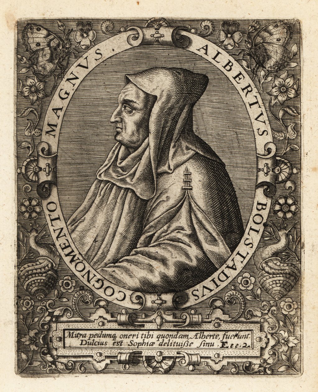 Albertus Magnus, German Catholic bishop by Theodore de Bry