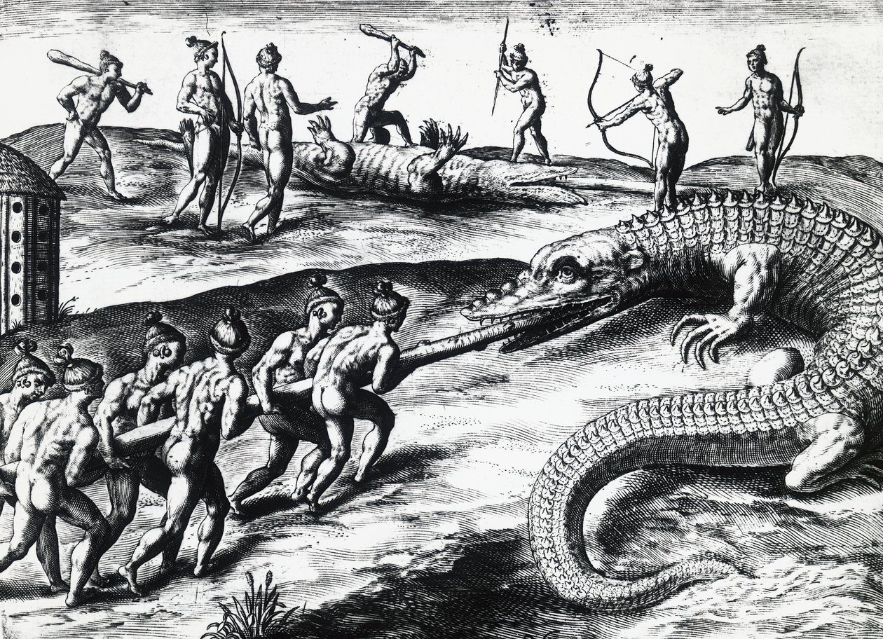 Crocodile Hunting in Florida, from painting by Jacques le Moyne de Morgues, by Theodor de Bry by Theodore de Bry