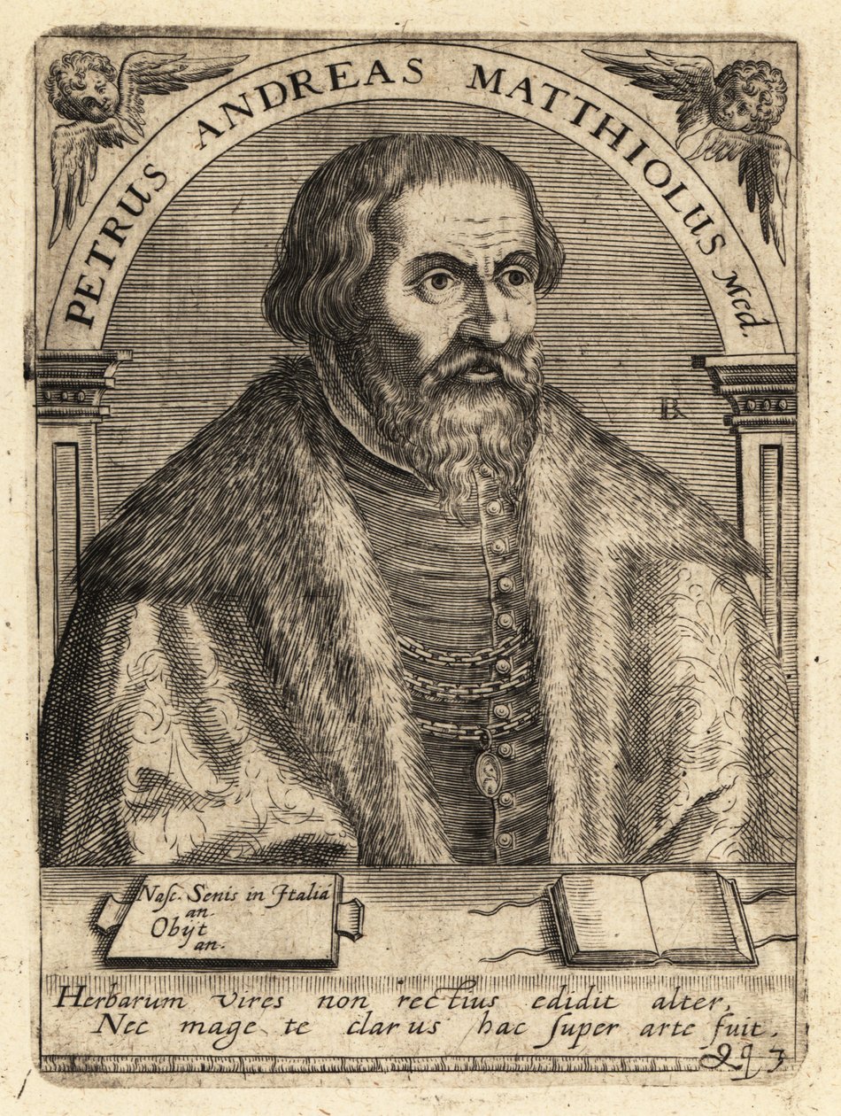 Pietro Andrea Gregorio Mattioli, Italian Physician by Theodore de Bry
