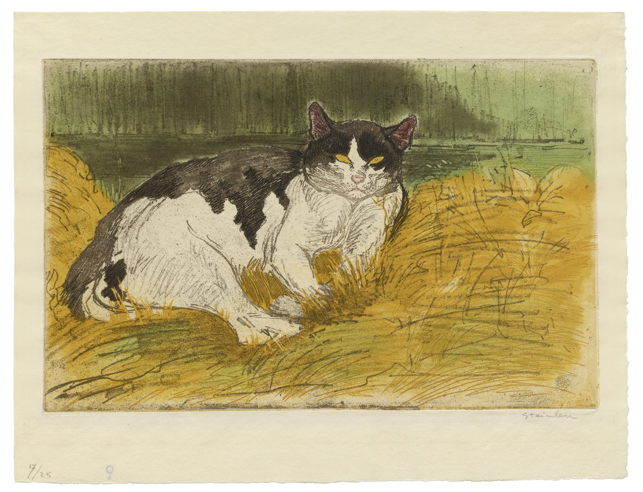 Old Black and White Cat in the Grass by Théophile Alexandre Steinlen