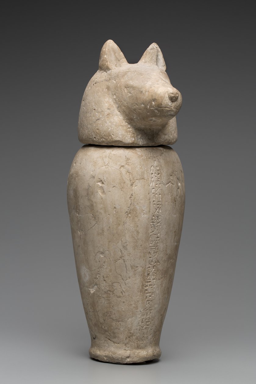 Canopic Jar with Jackal
