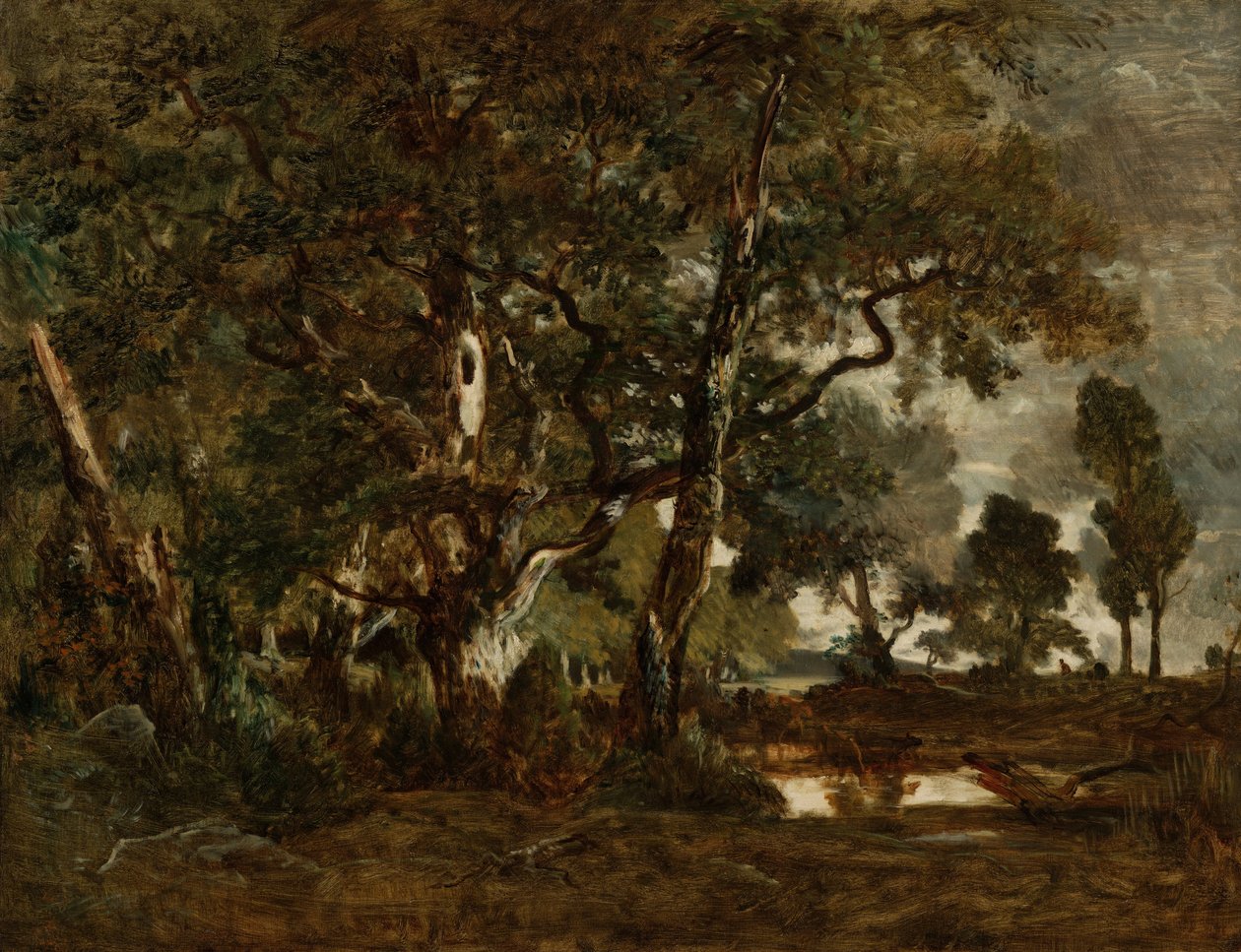 Forest of Fontainebleau, Cluster of Tall Trees Overlooking the Plain of Clair-Bois at the Edge of Bas-Bréau by Pierre Etienne Theodore Rousseau