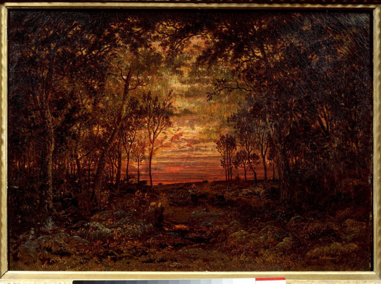 Sunset in the Forest by Pierre Etienne Theodore Rousseau