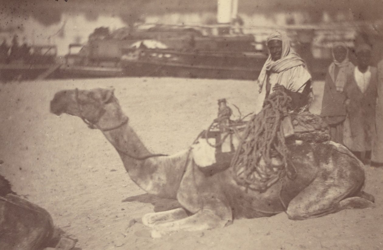 A North African Man on a Camel on the Bank of the Nile by Théodule Devéria