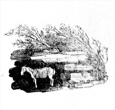 A Donkey from History of British Birds and Quadrupeds by Thomas Bewick