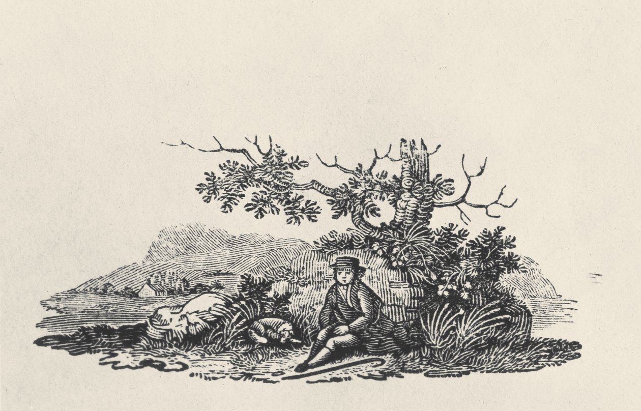 A Gentleman beneath a Tree, from Land Birds, Published 1797 by Thomas Bewick