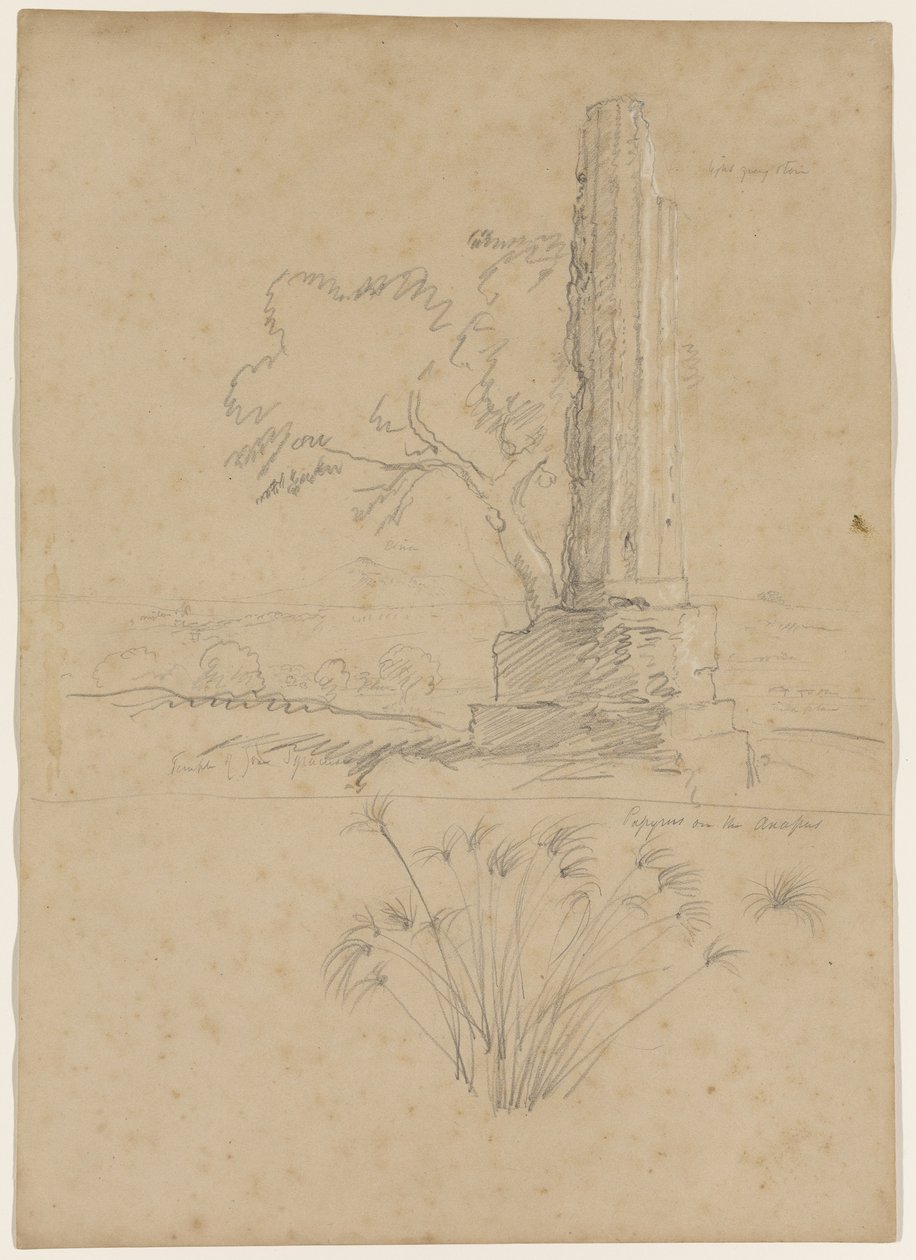 Temple of Zeus and Papyrus on the Anapo River, near Syracuse, Sicily, 1842 by Thomas Cole