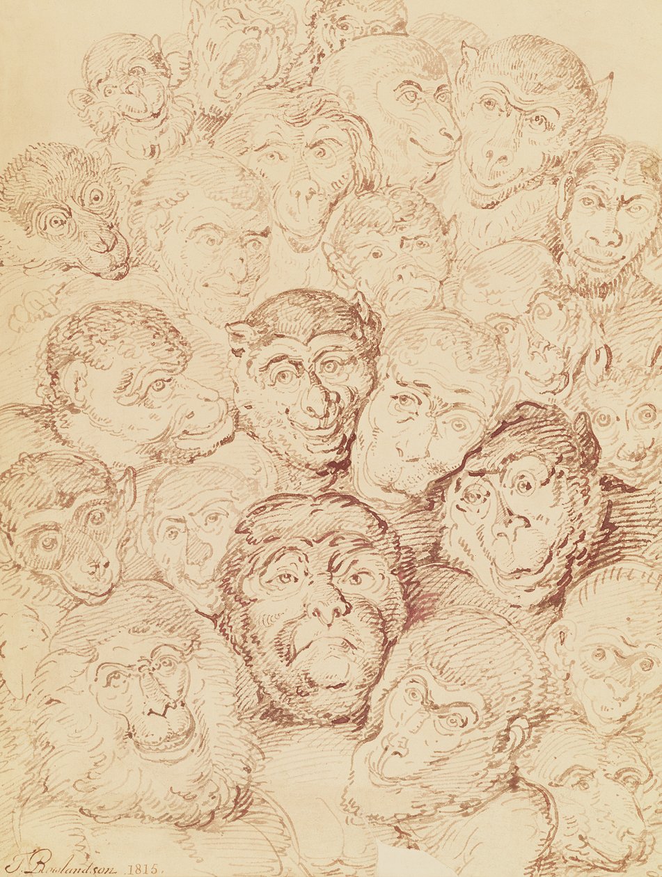Monkey Faces by Thomas Rowlandson