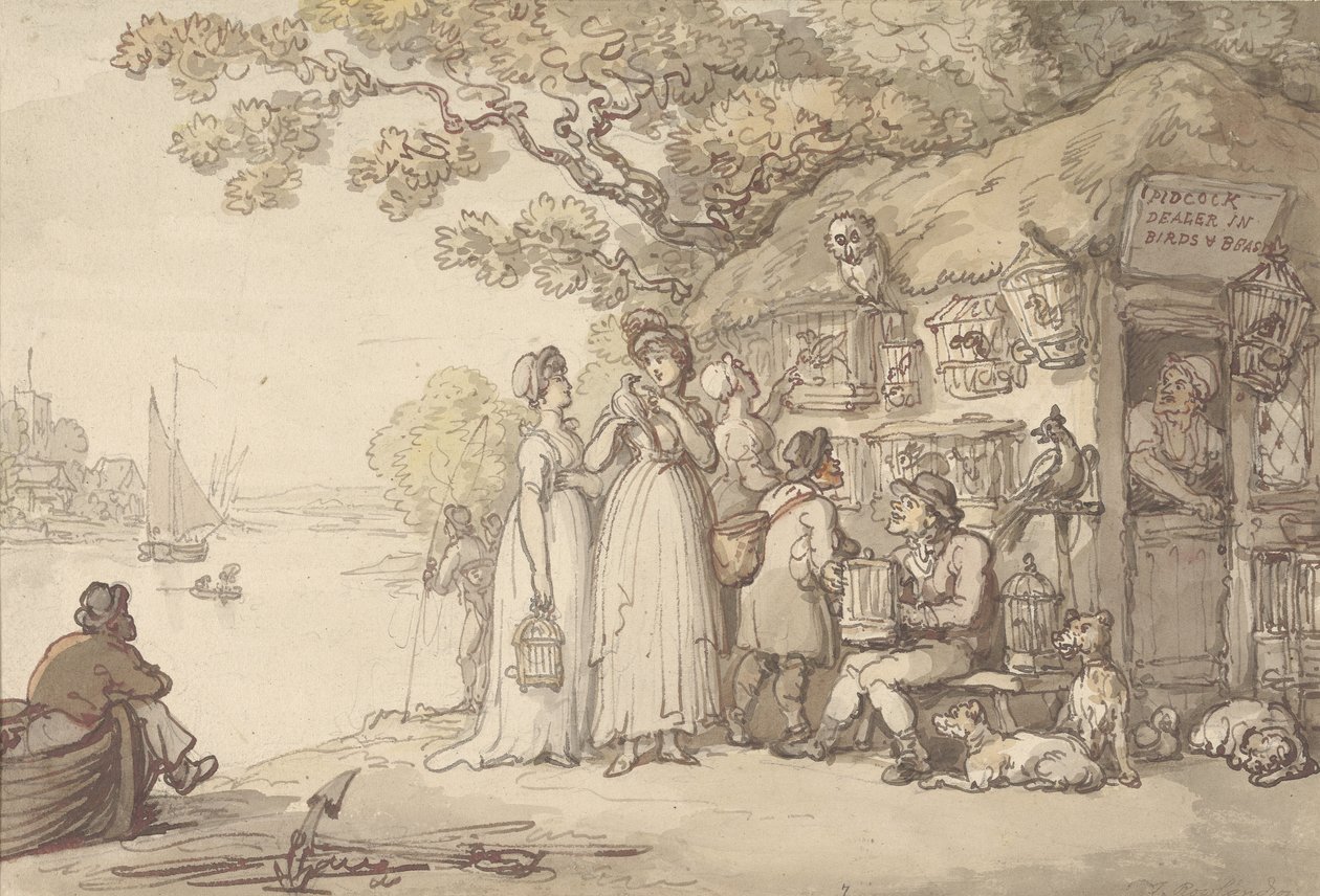 Pidcock, Dealer in Birds and Beasts by Thomas Rowlandson