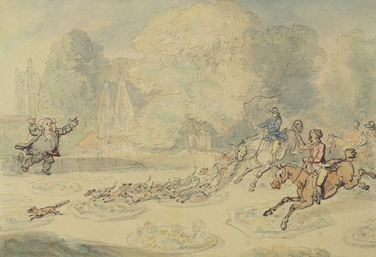 The Enraged Botanist by Thomas Rowlandson