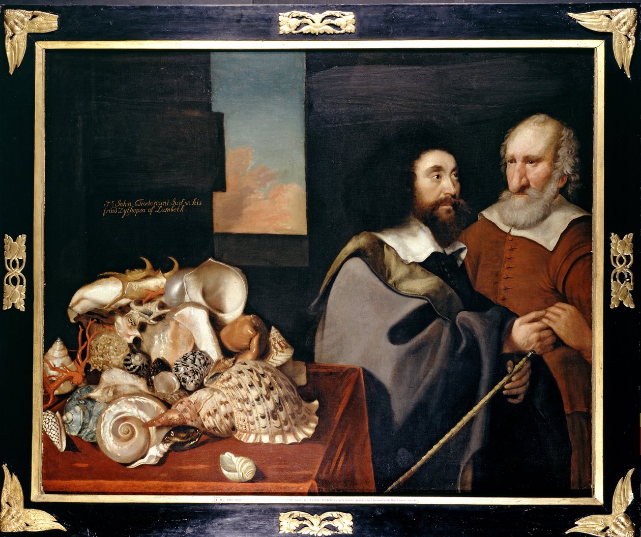 John Tradescant the Younger with Roger Friend and a Collection of Exotic Shells by Thomas de Critz