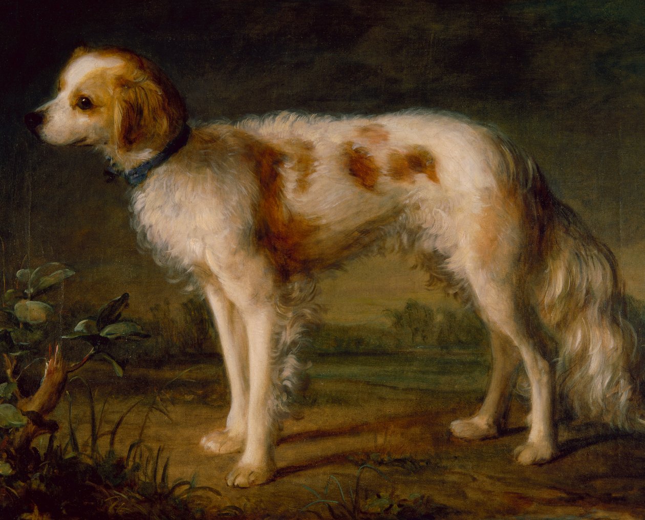 A Spaniel in a Landscape by Thomas (circle of) Gainsborough