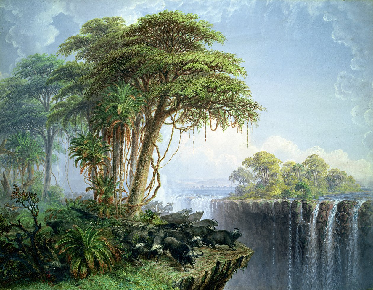 Unknown Image by Thomas Baines