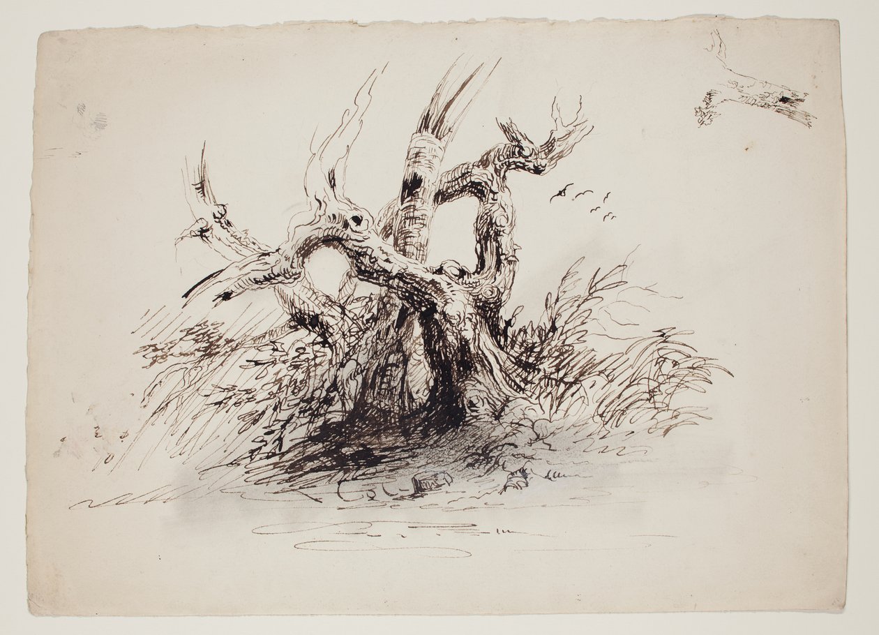 Gnarled Tree Trunks by Thomas Cole