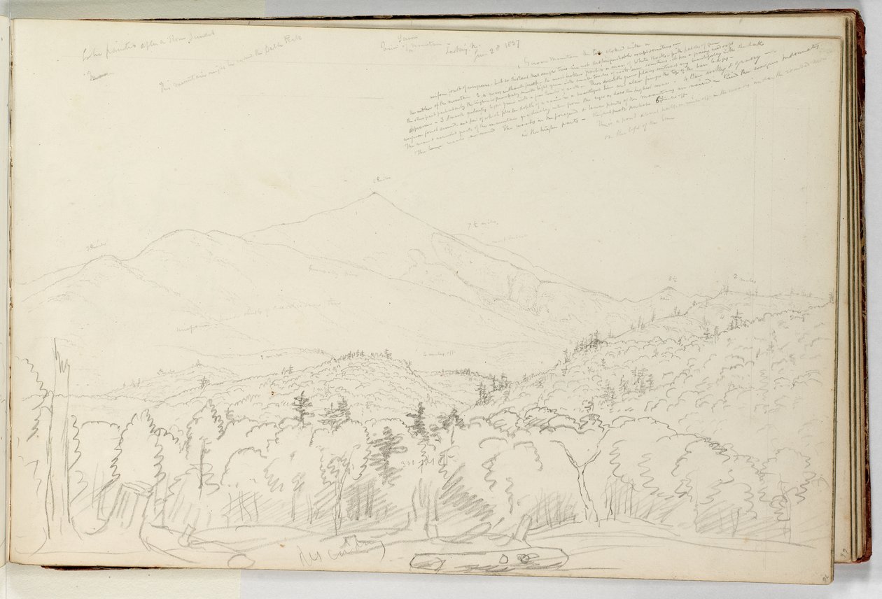 View of Schroon Mountain Looking North June 28 by Thomas Cole