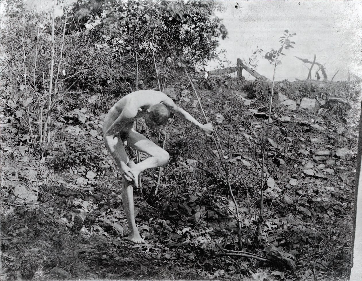 Thorn Puller, c. 1883 by Thomas Eakins