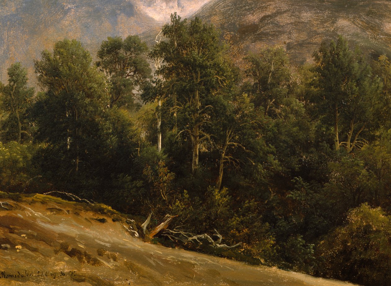 Forest in Romsdal by Thomas Fearnley