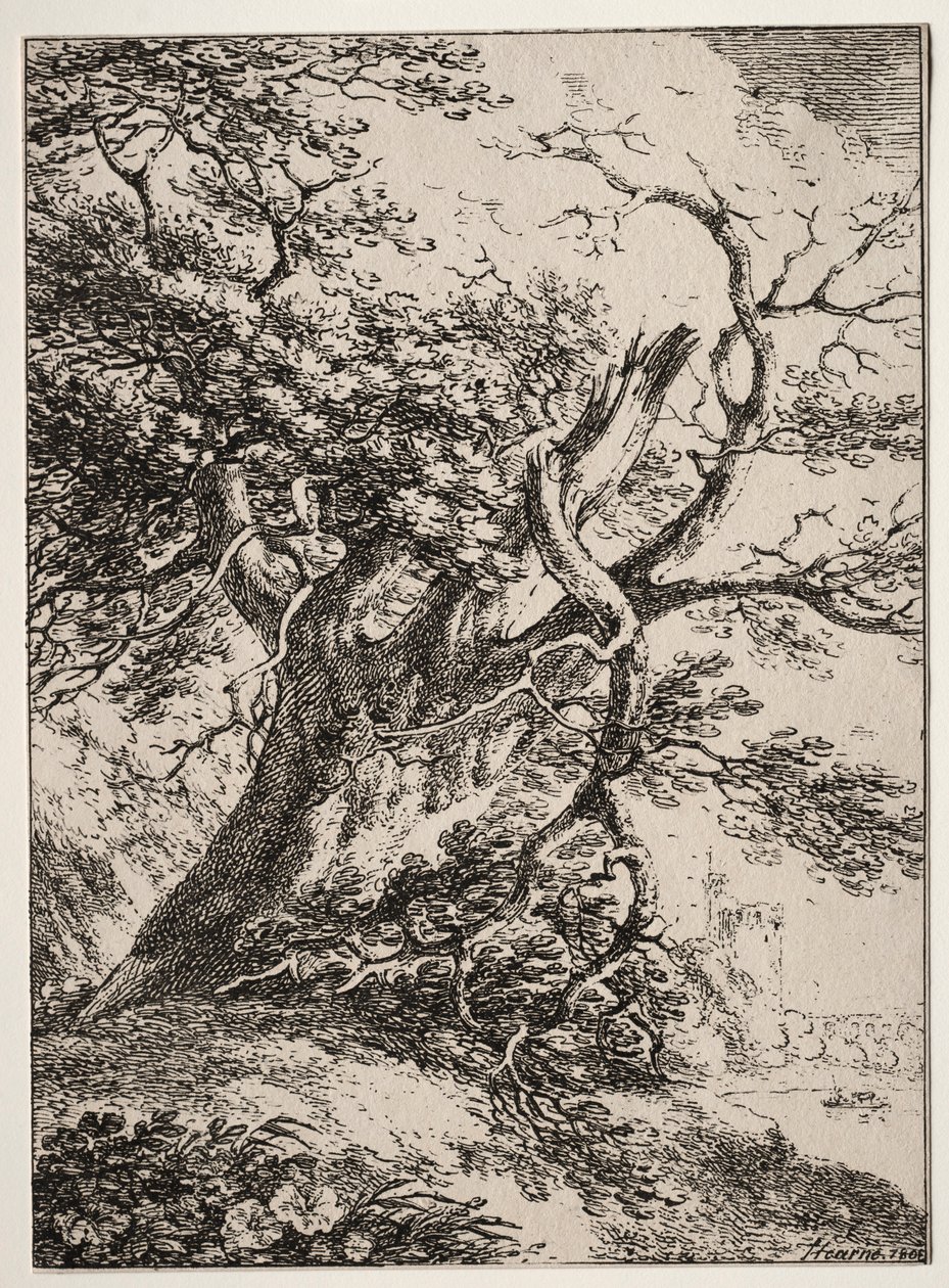 Specimens of Polyautography: Landscape with an Oak Tree, 1803 by Thomas Hearne