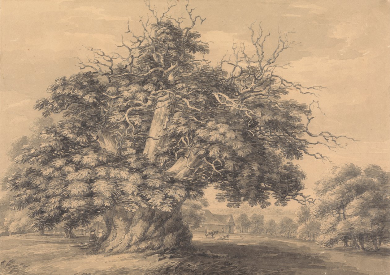 The Chestnut Tree at Little Wymondley, Hertfordshire by Thomas Hearne