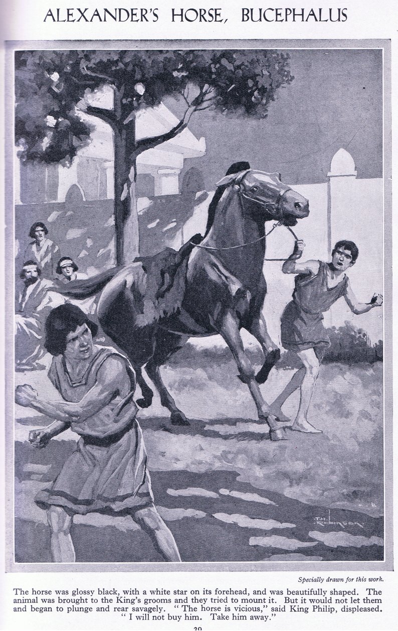 Alexander