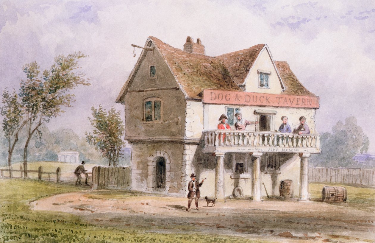 A View of the Old Dog and Duck, St. George