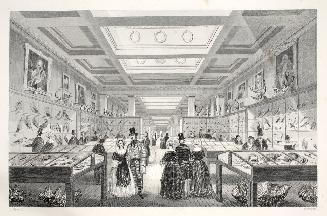 British Museum, Zoological Gallery, from 