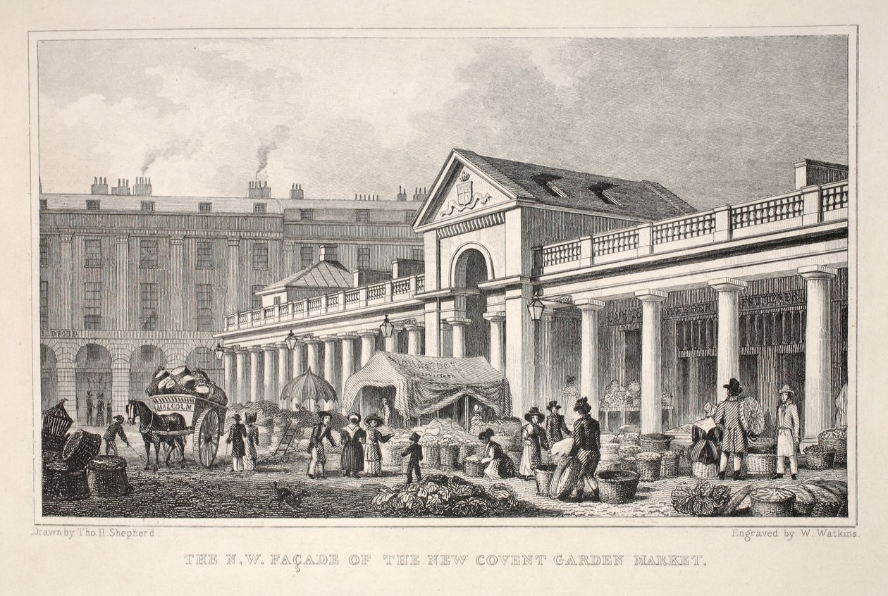 The N.W. Façade of the New Covent Garden Market, from 