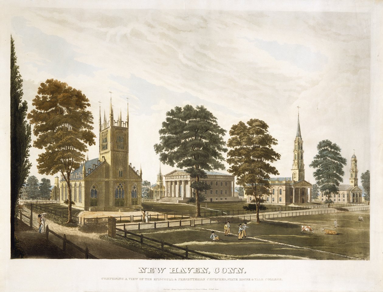 New Haven, Conn. Comprising A View Of The Episcopal & Presbyterian Churches, State House & Yale College by Thomas Illman